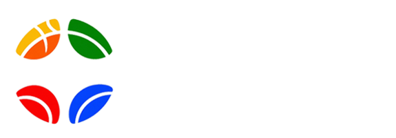 球帝网